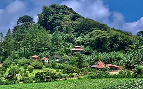 Finca Neblina Del Bosque
