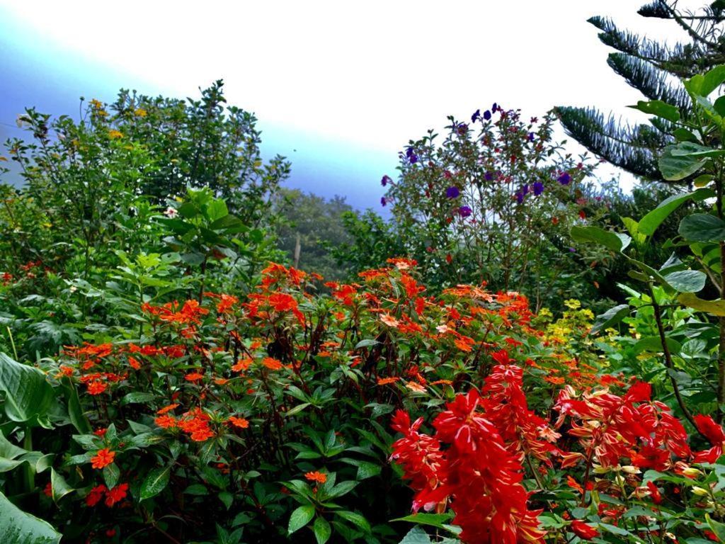 Finca Neblina Del Bosque Estelí Exterior foto