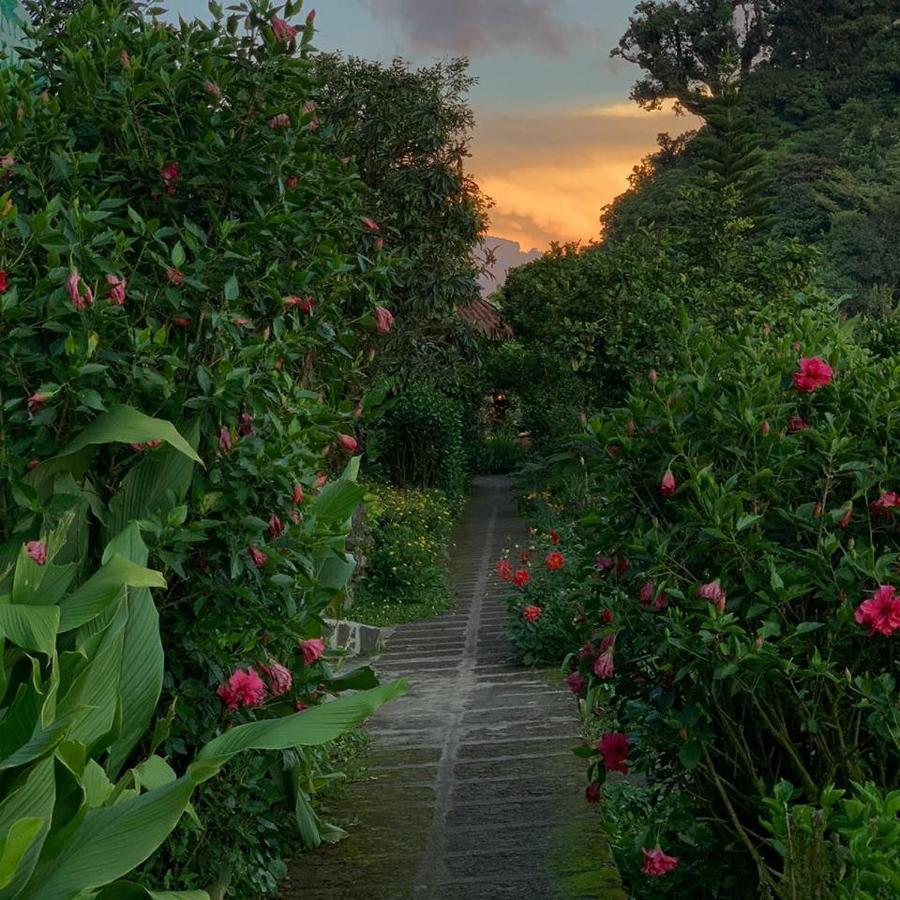 Finca Neblina Del Bosque Estelí Exterior foto